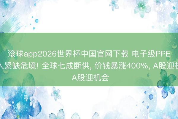 滚球app2026世界杯中国官网下载 电子级PPE堕入紧缺危境! 全球七成断供, 价钱暴涨400%, A股迎机会