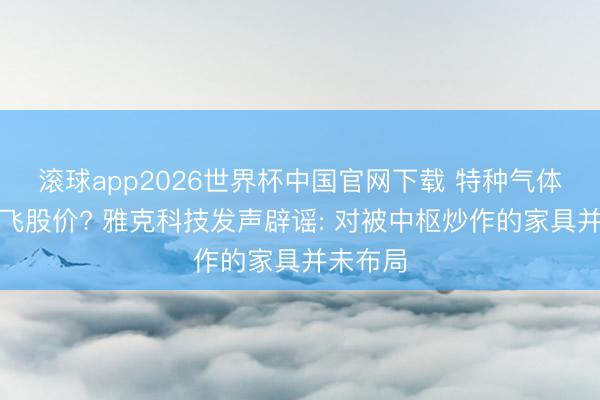 滚球app2026世界杯中国官网下载 特种气体认识带飞股价? 雅克科技发声辟谣: 对被中枢炒作的家具并未布局