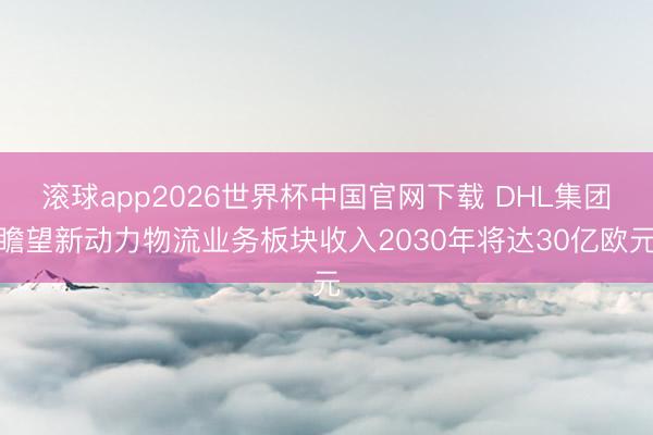 滚球app2026世界杯中国官网下载 DHL集团瞻望新动力物流业务板块收入2030年将达30亿欧元
