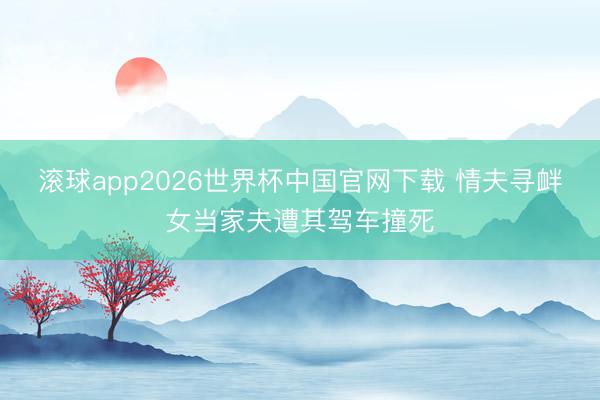 滚球app2026世界杯中国官网下载 情夫寻衅女当家夫遭其驾车撞死