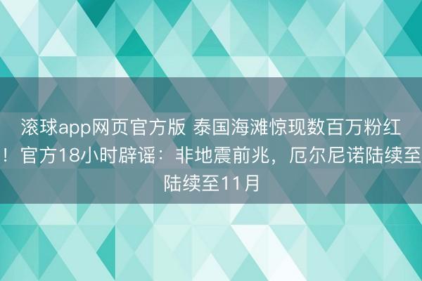 滚球app网页官方版 泰国海滩惊现数百万粉红海参！官方18小时辟谣：非地震前兆，厄尔尼诺陆续至11月