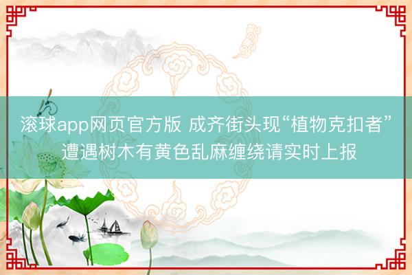 滚球app网页官方版 成齐街头现“植物克扣者” 遭遇树木有黄色乱麻缠绕请实时上报