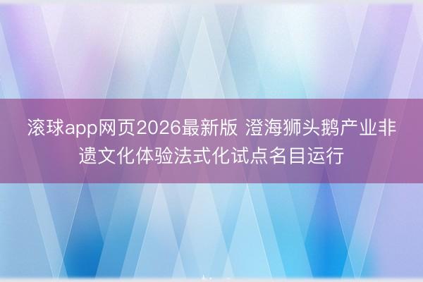 滚球app网页2026最新版 澄海狮头鹅产业非遗文化体验法式化试点名目运行