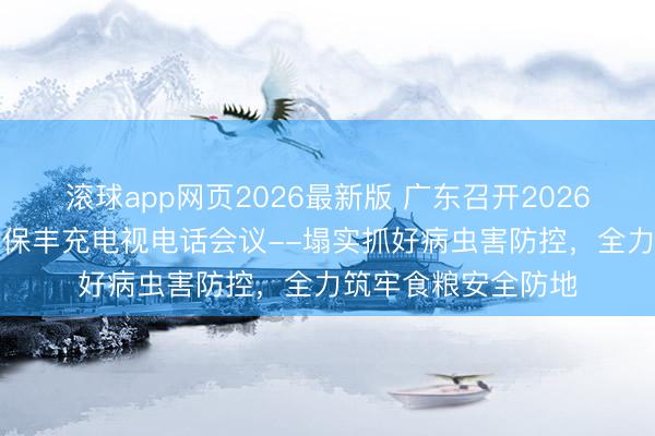滚球app网页2026最新版 广东召开2026年全省“虫口夺粮”保丰充电视电话会议--塌实抓好病虫害防控，全力筑牢食粮安全防地