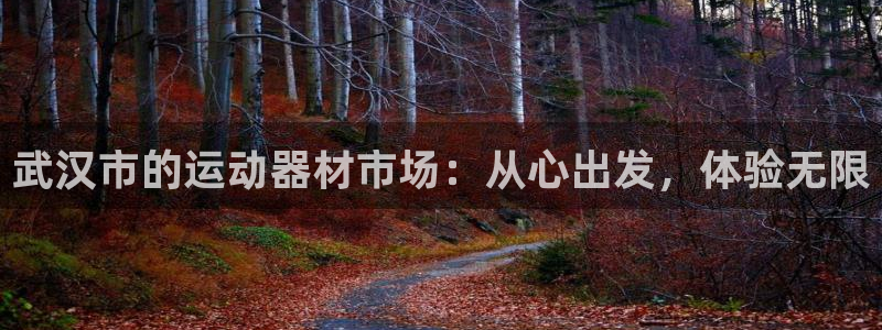 哈哈体育招商电话地址查询：武汉市的运动器材市场：从心