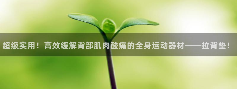 海南哈哈体育:超级实用!高效缓解背部肌肉酸痛的全身运动器材—