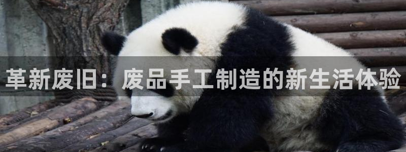 海南哈哈体育发展怎么样：革新废旧：废品手工制造的新生活体验